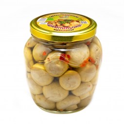 Шампиньон 580 стекло